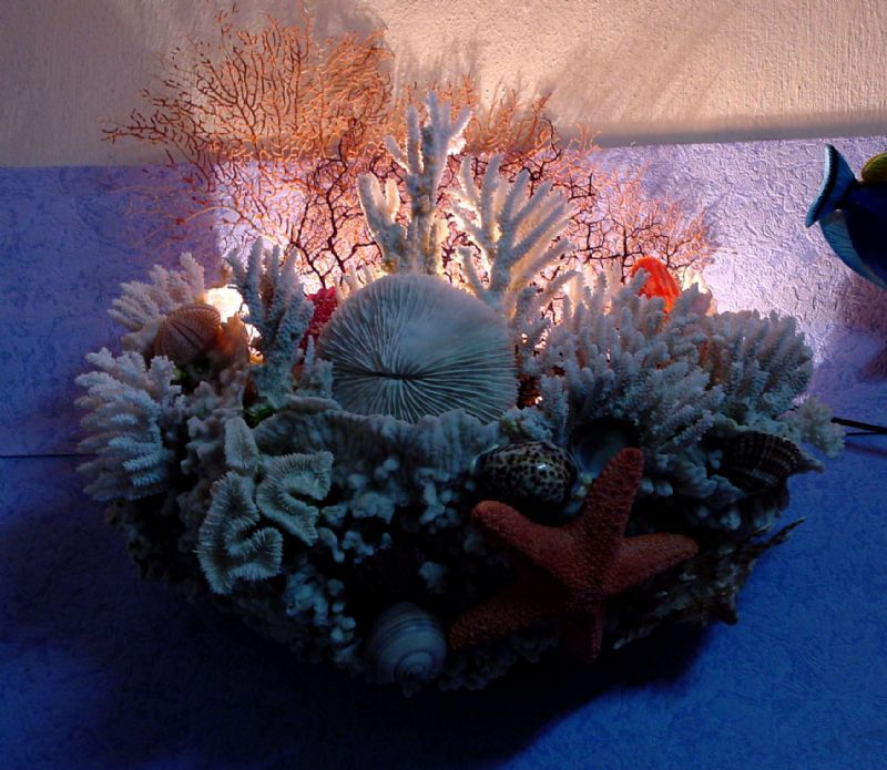 ARNAVUTKÖYDE KONUT PROJESİ