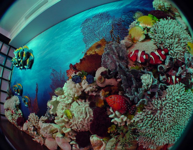 ARNAVUTKÖYDE KONUT PROJESİ