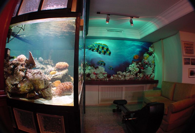 ARNAVUTKÖYDE KONUT PROJESİ